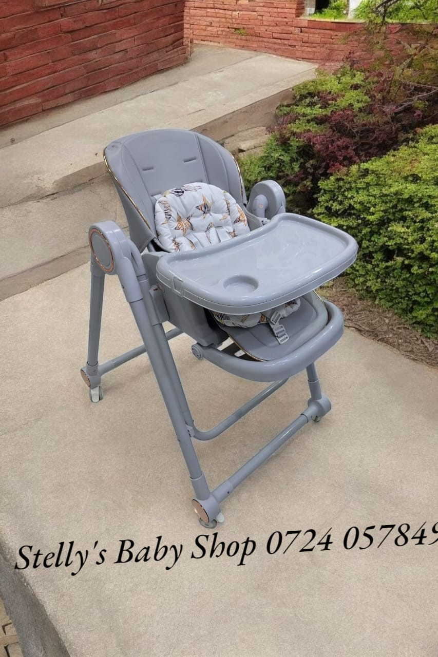 Adjustable Feeding Chair