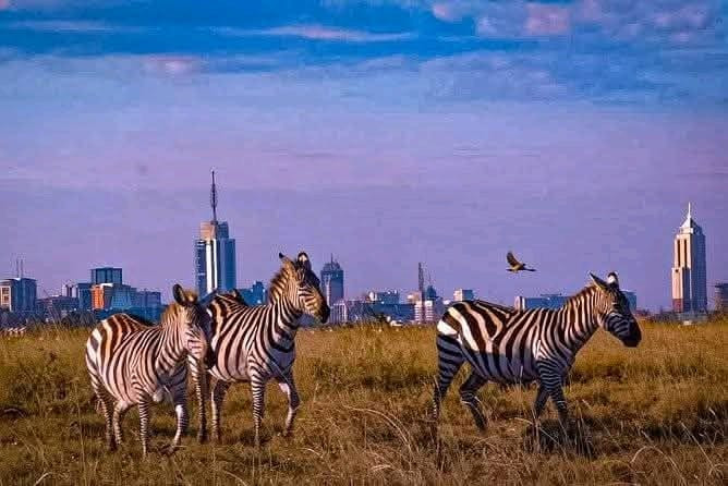 Nairobi National Park