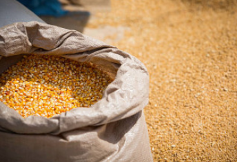 Maize Bag