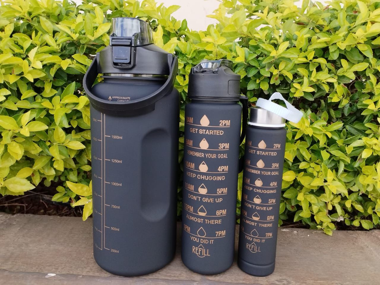 3 in 1 water bottles